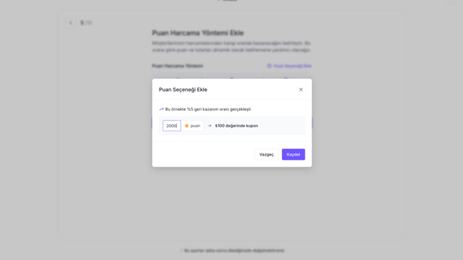 Puan-harcama-yontemi-manuel