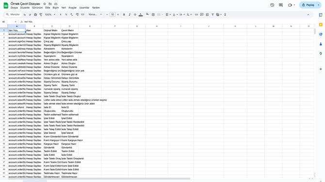 diller-ceviriler-tema-standart-alanlar-csv