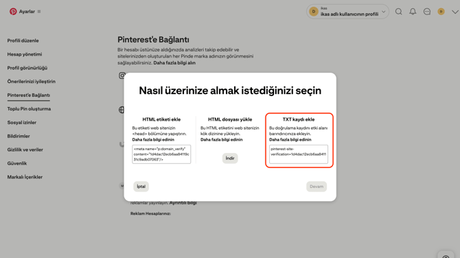 ikas-pinterest-websiteni-uzerine-domain